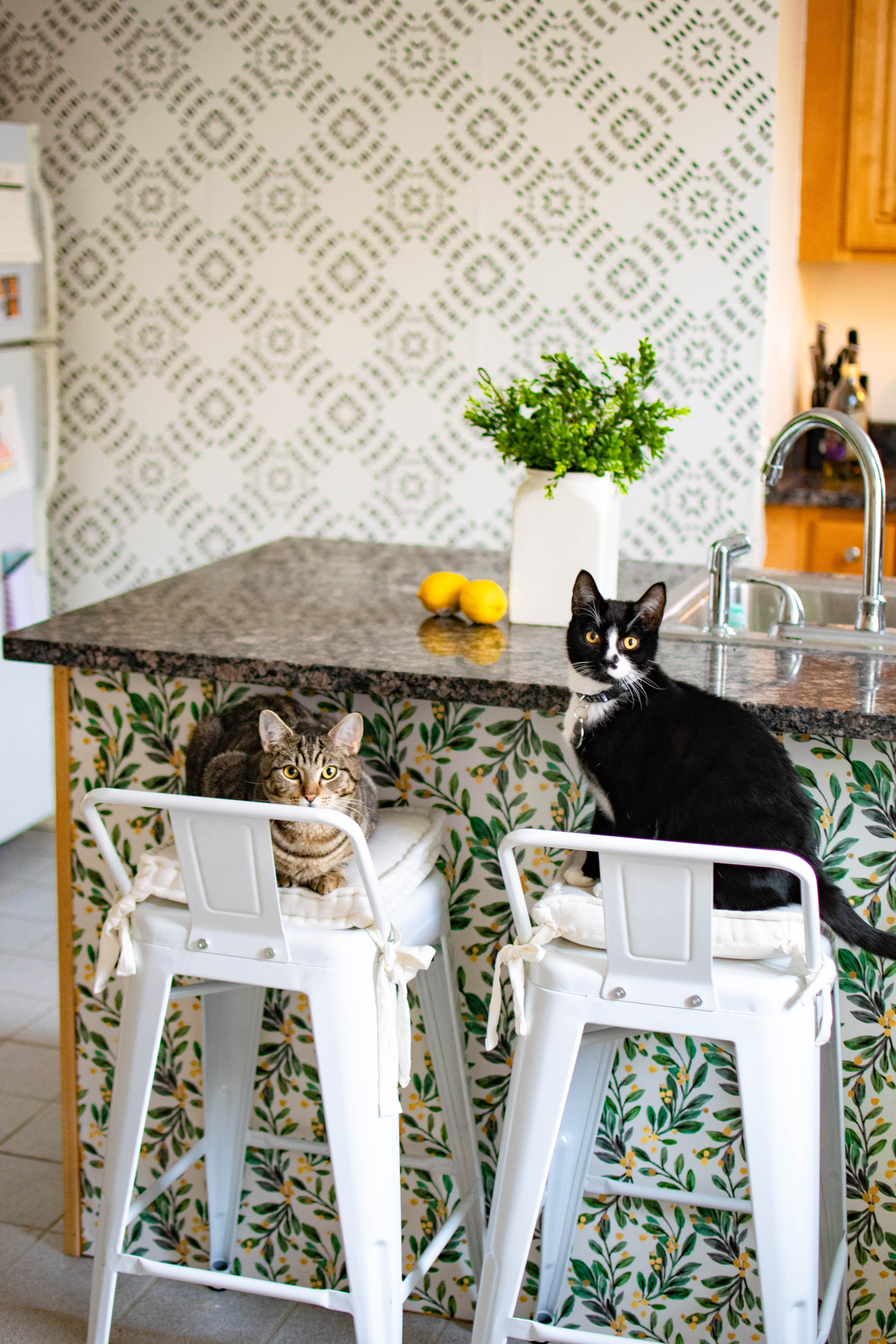 Why you should wallpaper your apartment (and kitchen reveal)