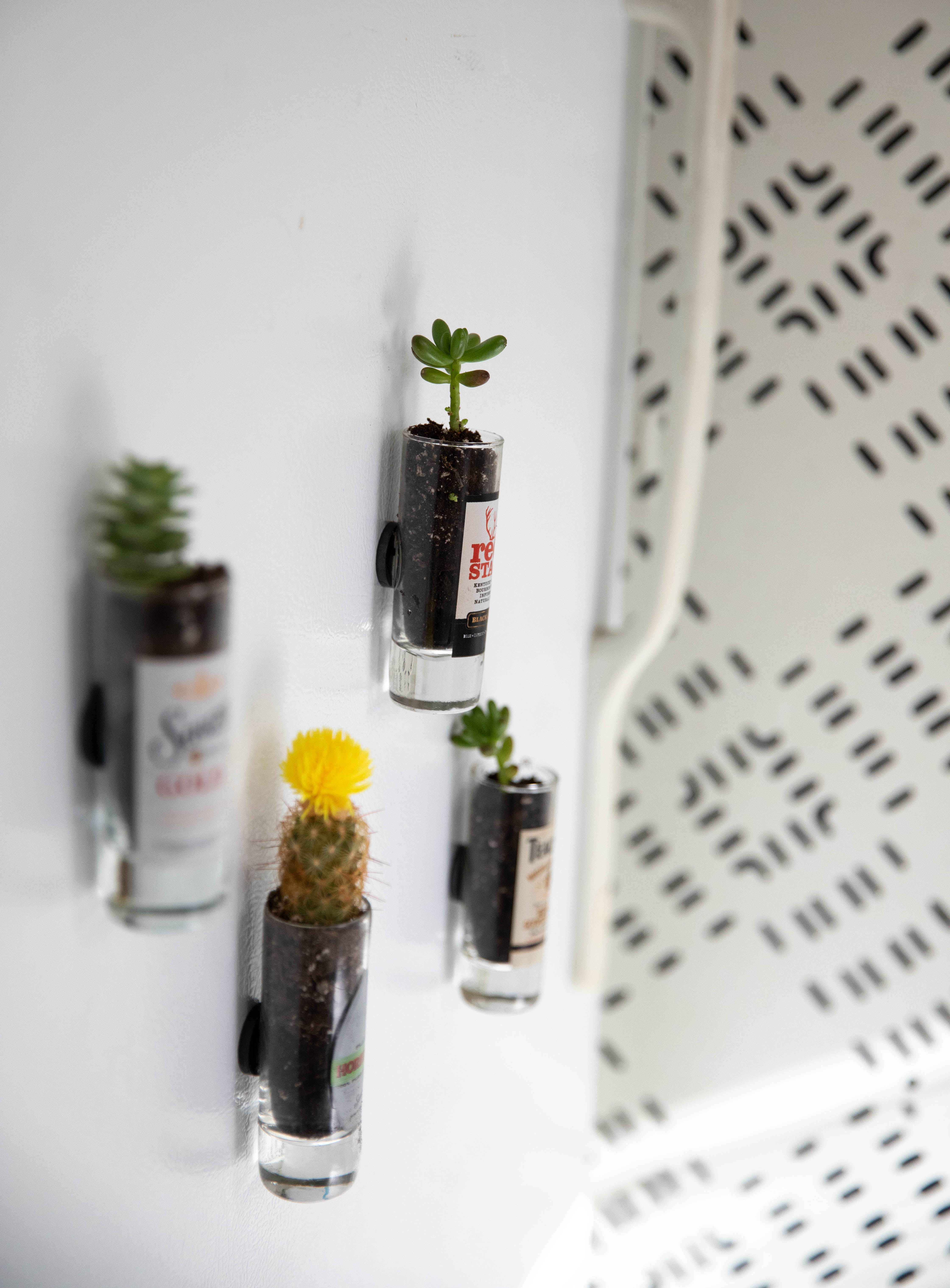 Make a magnetic garden from thrifted shot glasses