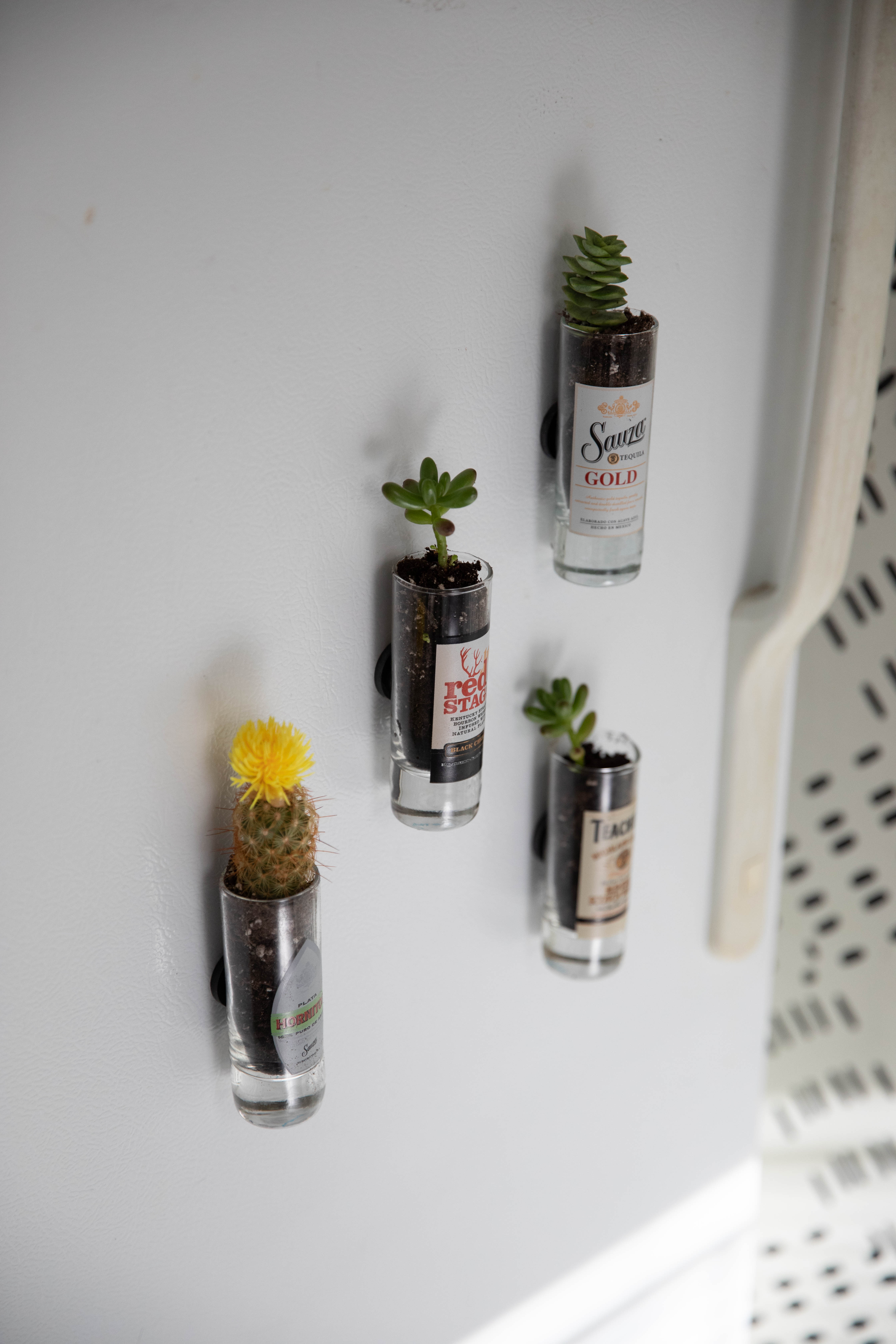 Make a magnetic garden from thrifted shot glasses - by Marissa Zingg